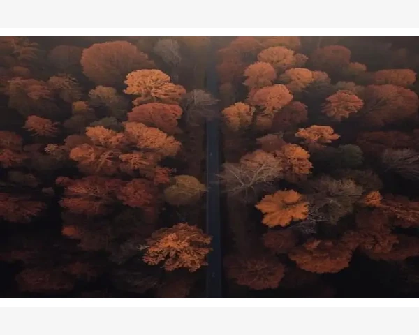 MT4指标颜色渐变实现方法与代码示例_搞清楚保证金和余额的区别是第一步