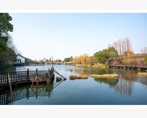MT4订单保护条件调整实操步骤详解_切换语言后可能遇到的问题处理