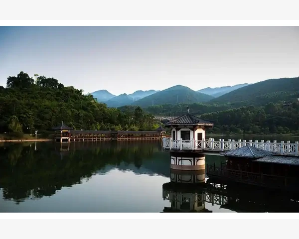 MT4交易历史文件导出三步走