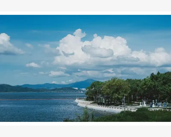 B2B行业数字化转型的机遇与挑战_B2B行业数字化转型的机遇与挑战