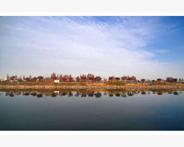 B2B网站发布信息效果翻倍的核心技巧_B2B网站发布信息效果翻倍的核心技巧