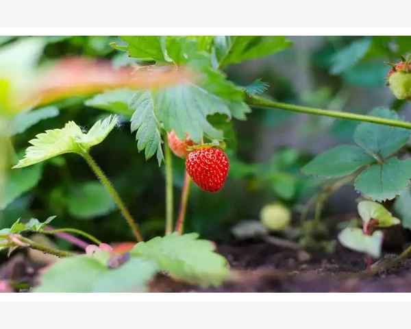 B2B网站到底是什么东西_B2B网站到底是什么东西
