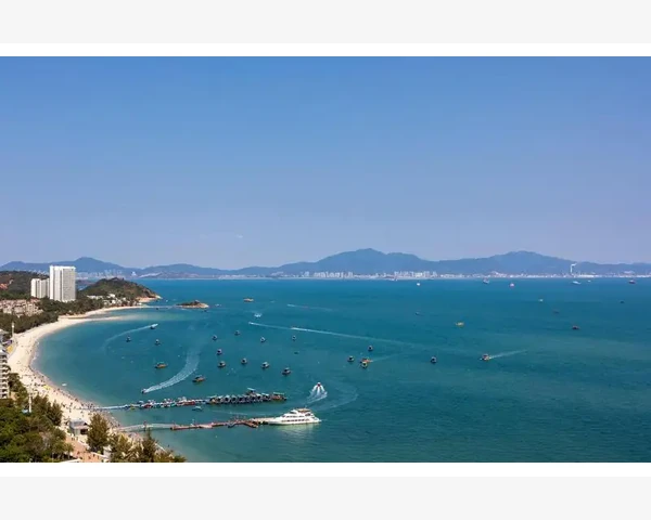 闲鱼B2B个人卖家批量出货新玩法_模板选型要看行业特性与功能需求