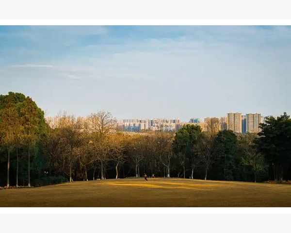 B2B与B2B2C模式差异与企业选择_B2B模式企业间的批量生意怎么跑通