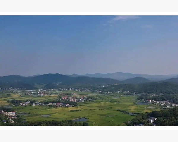 MT4登录记录清理方法释放隐私空间_MT4登录记录清理方法释放隐私空间