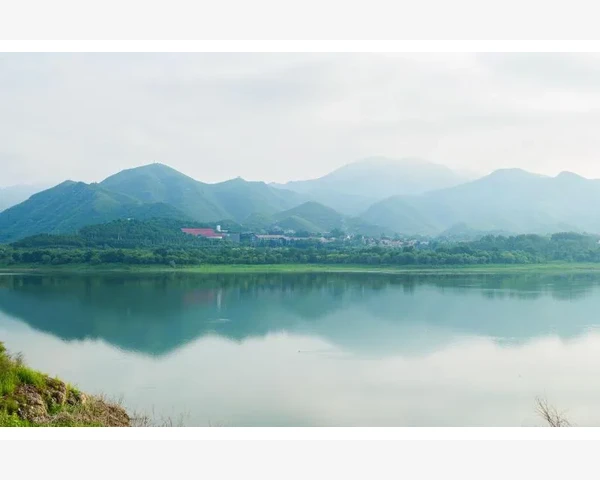 B2B模式企业交易的核心逻辑_平台选择与长期运营建议