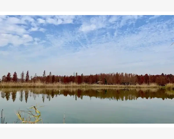 MT4多指标叠加层级调整实操详解_指标窗口的层级关系是怎么运作的