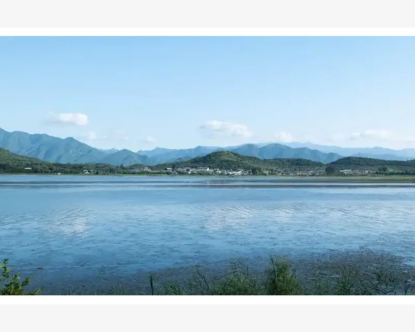 MT4登录提示账号无效先查服务器地址填没填对_辅助功能活用起来事半功倍