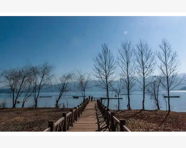 MT4挂单到价未触发是延迟还是另有隐情_分享的时候那些版本匹配的小坑