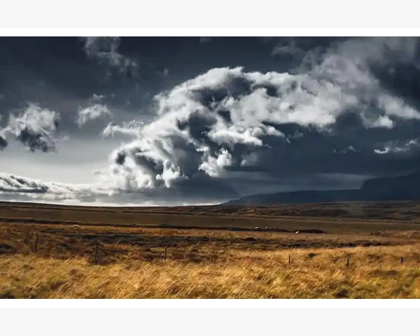企业定制记事本礼品B2B快速匹配印刷厂家_主动出击寻找潜在客户