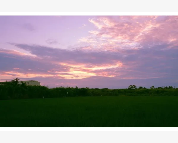 MT4电脑版回测功能频频失败原因与排查要点_市场报价窗口右键菜单里的隐藏功能